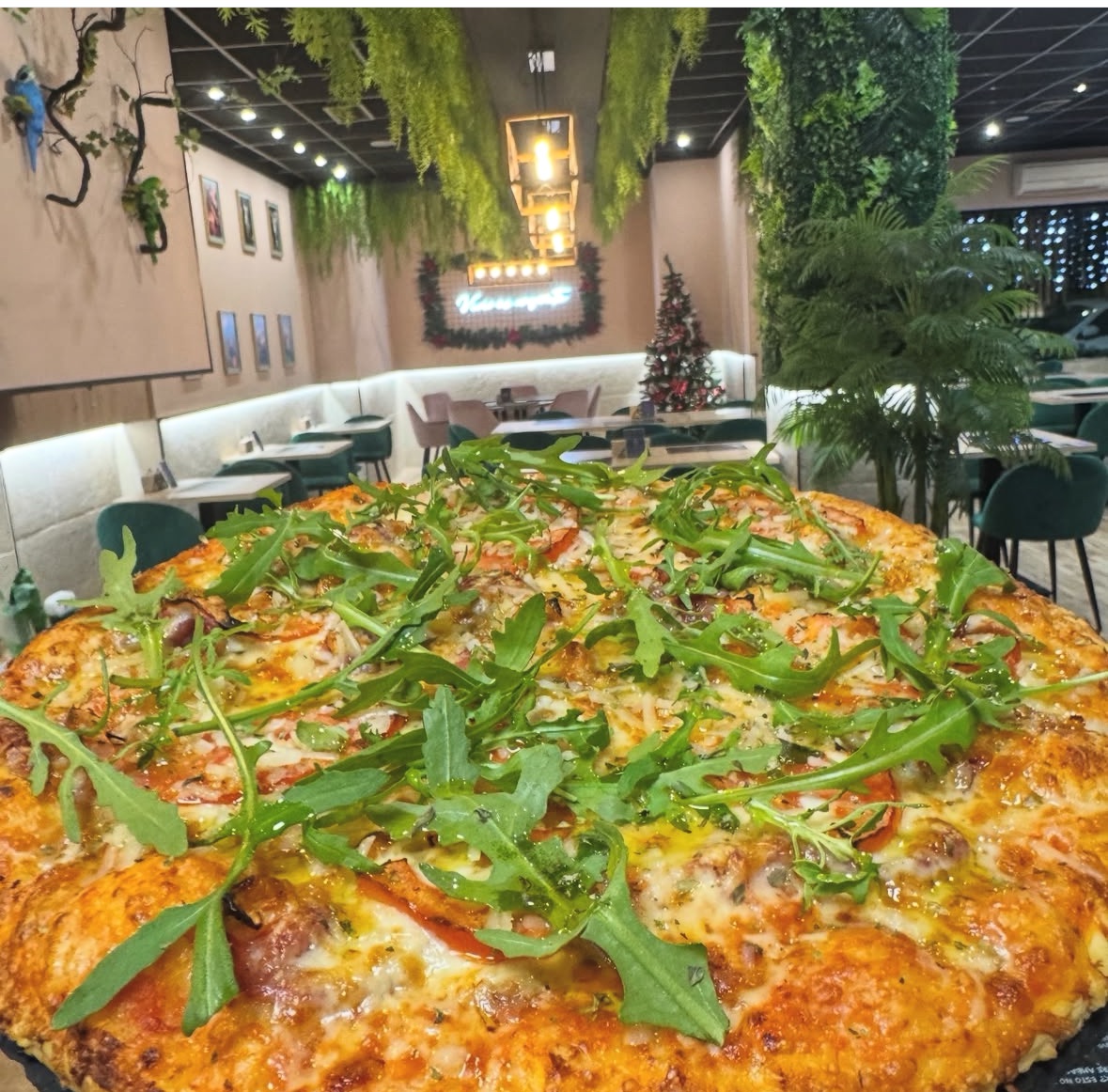 PIZZER�A H&G 